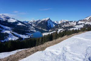 Paysage de montagne[